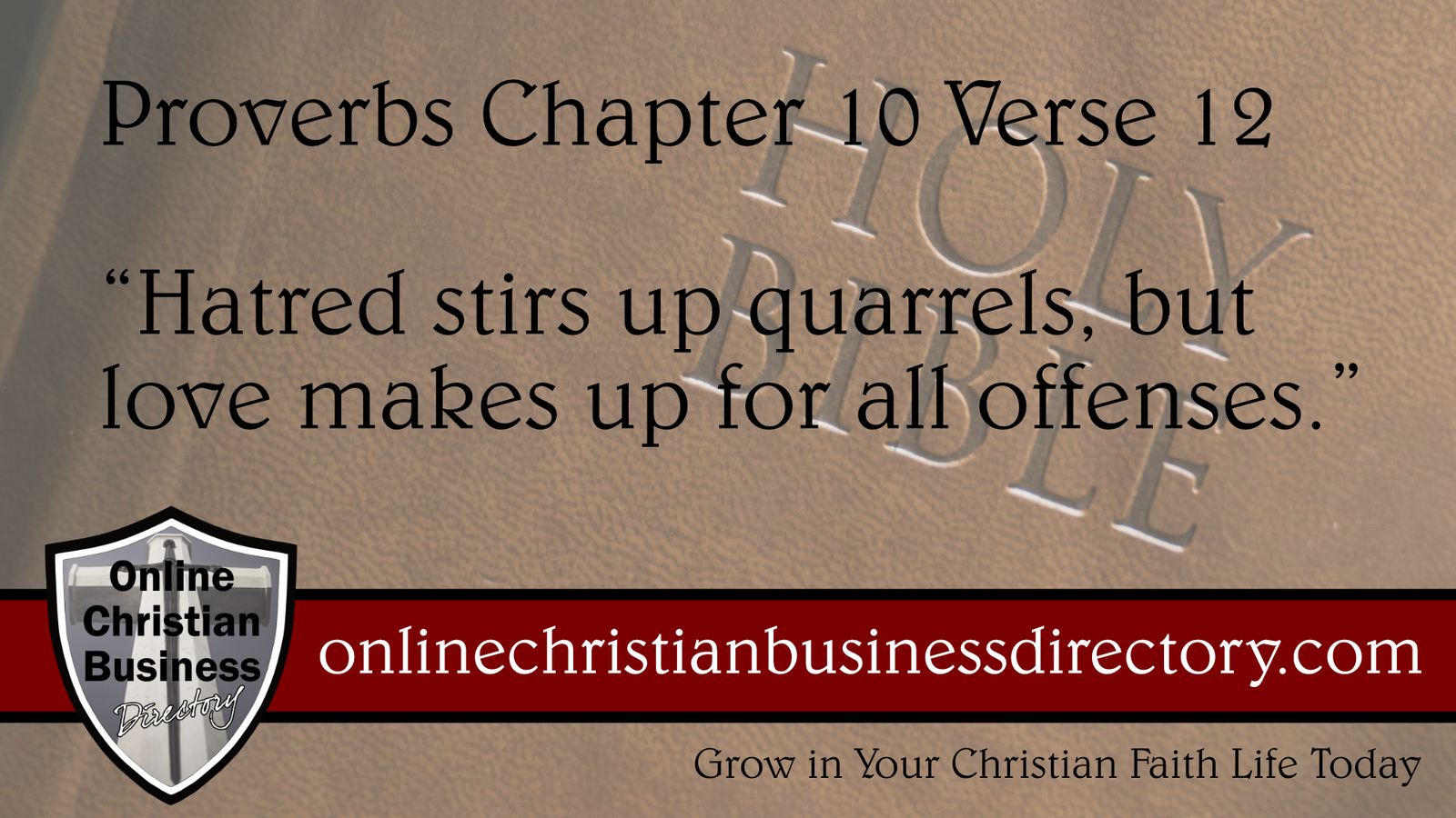 Proverbs Chapter 10 Verse 12