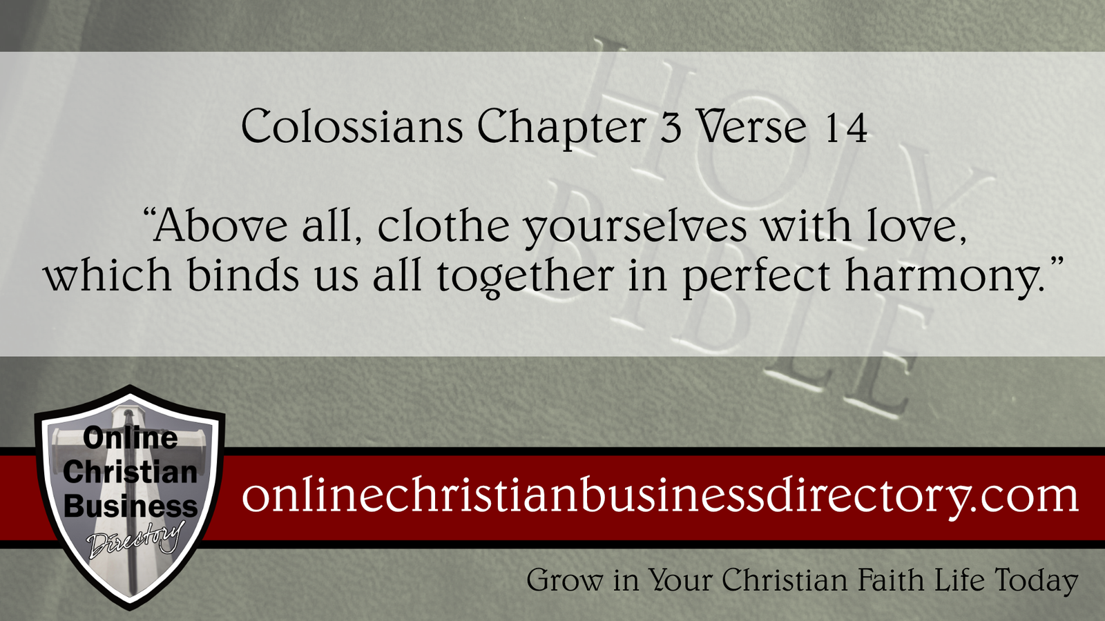 Colossians Chapter 3 Verse 14