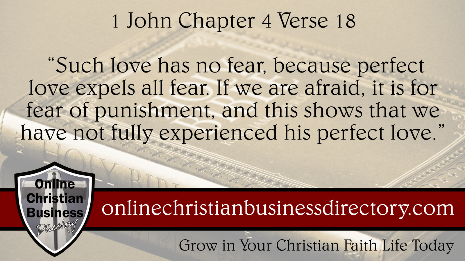 1 John Chapter 4 Verse 18